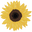 Logo de Sun.flower1920